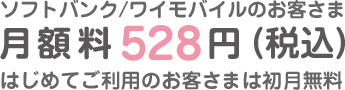 月額料528円